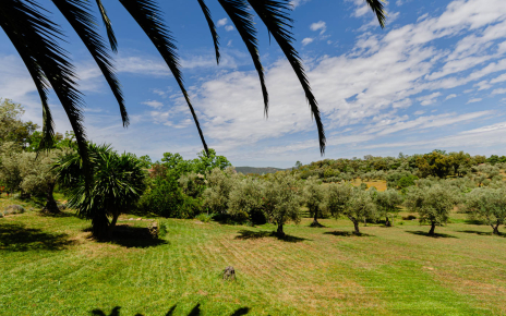 Your holiday cottage is in a 75 hectare estate